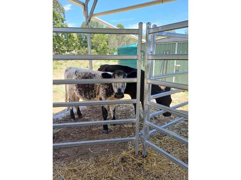 44 Packer Road, Blackbutt North QLD 4306