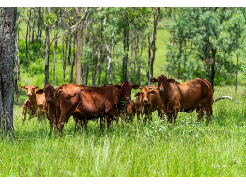 1324 Esk Crows Nest Road, Biarra QLD 4313