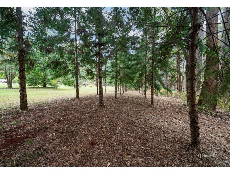 20 Brett Road, Blackbutt South QLD 4306