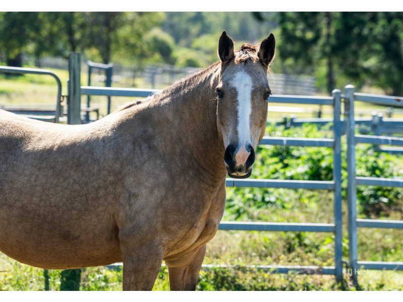 568 Esk Crows Nest Road, Biarra QLD 4313