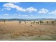 Lot 244 Huntley Road, Biarra QLD 4313