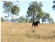 Biarra QLD 4313