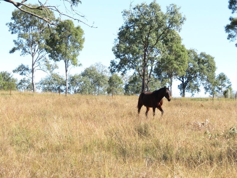 Biarra QLD 4313