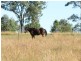 Biarra QLD 4313