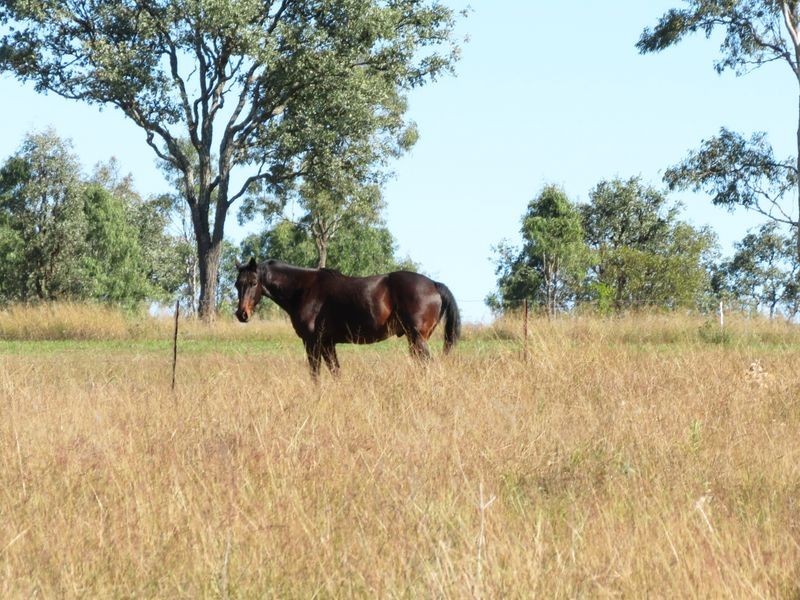 Biarra QLD 4313