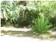 Esk QLD 4312