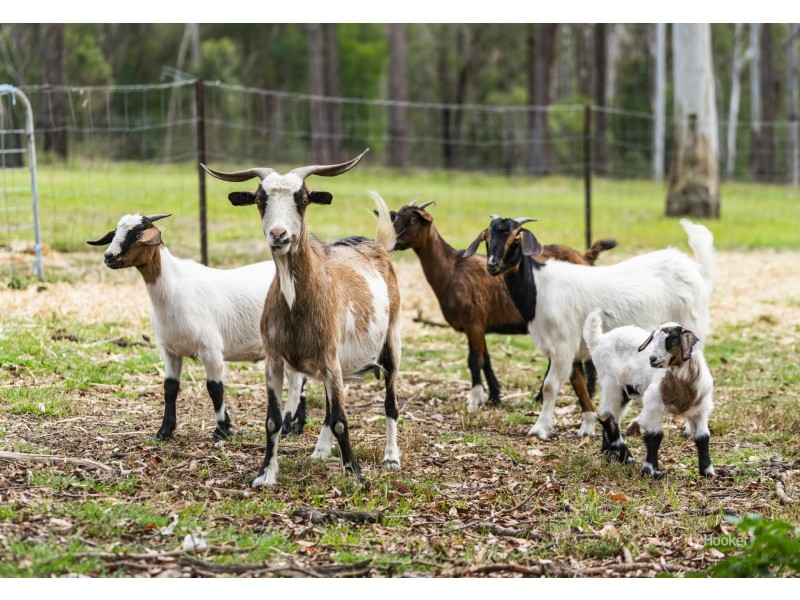 Lot 112 Crumpton Drive, Blackbutt North QLD 4306