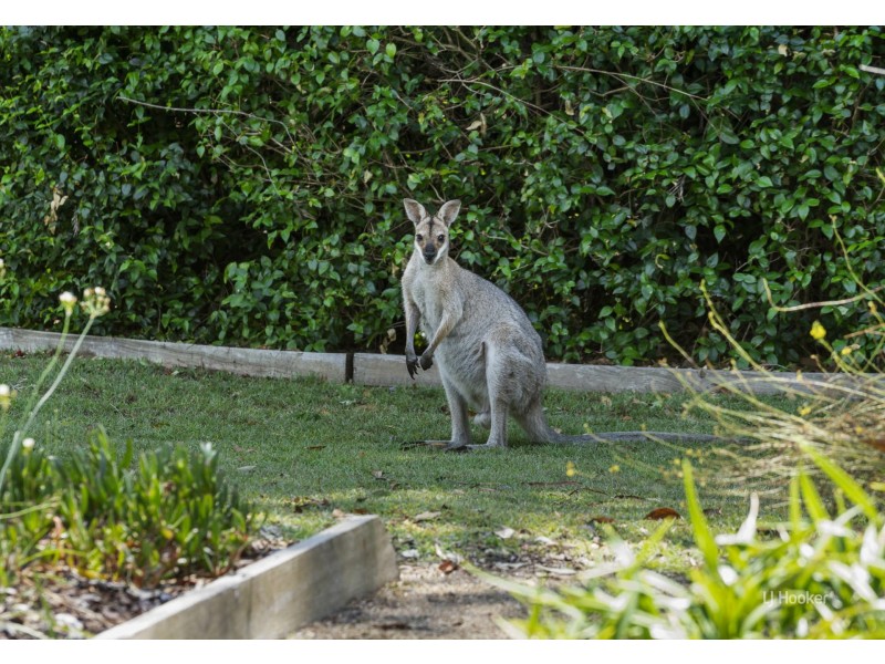 97 Outlook Drive, Esk QLD 4312