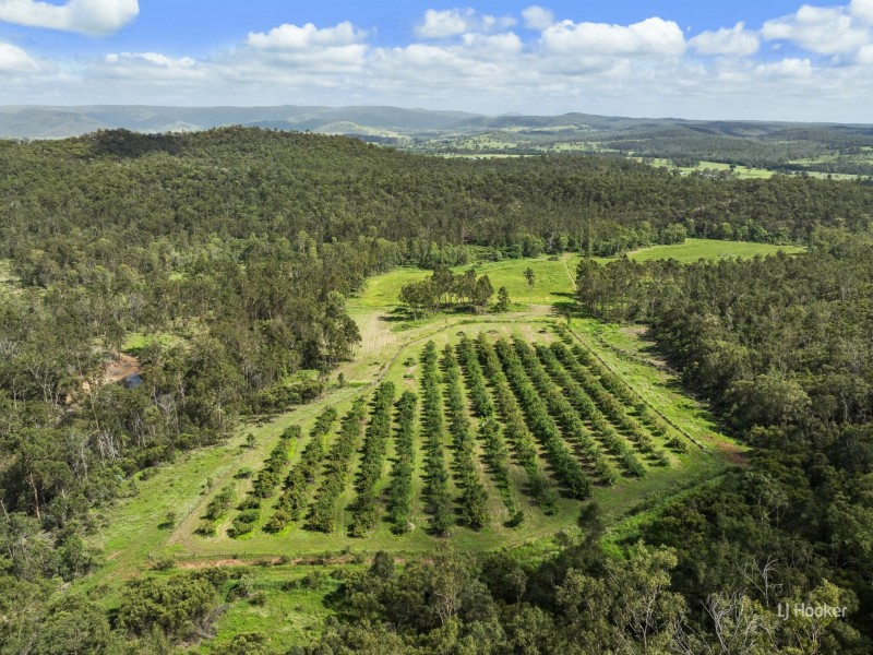 233 Buaraba Creek Road, Buaraba QLD 4311