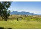 146 Lower Cressbrook Road, Cressbrook QLD 4313
