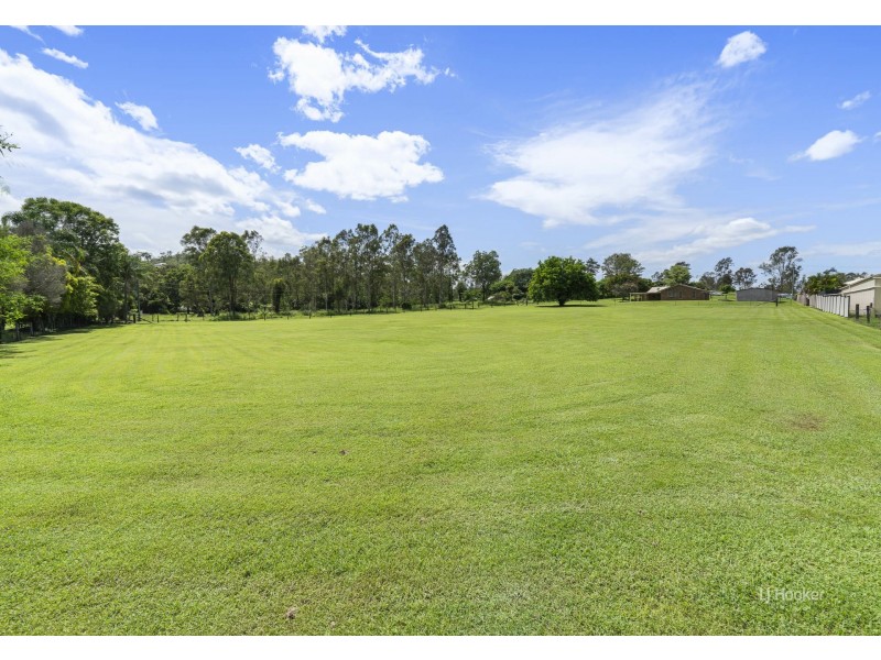 65 Carralluma Crescent, Fernvale QLD 4306