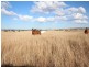 Lot 35 Cressbrook-Caboonbah Road, Cressbrook QLD 4313