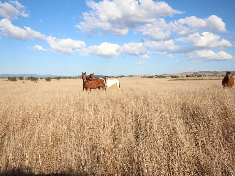 Lot 35 Cressbrook-Caboonbah Road, Cressbrook QLD 4313