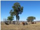 Lot 35 Cressbrook-Caboonbah Road, Cressbrook QLD 4313