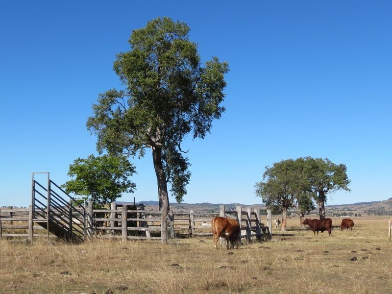 Lot 35 Cressbrook-Caboonbah Road, Cressbrook QLD 4313