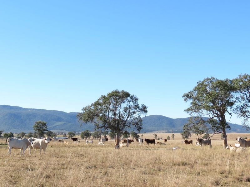 Lot 35 Cressbrook-Caboonbah Road, Cressbrook QLD 4313