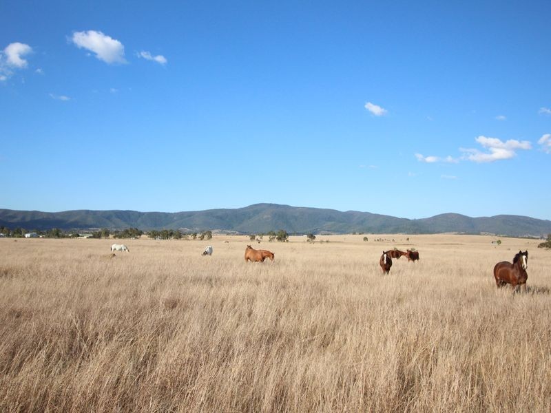 Lot 35 Cressbrook-Caboonbah Road, Cressbrook QLD 4313