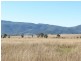 Lot 35 Cressbrook-Caboonbah Road, Cressbrook QLD 4313