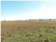 Lot 35 Cressbrook-Caboonbah Road, Cressbrook QLD 4313