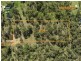 Proposed L Crumpton Drive, Blackbutt QLD 4306