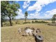 524 Turtle Creek Road, Harlin QLD 4306