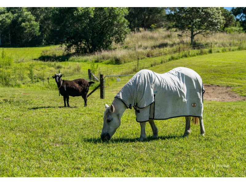 59 David Road, Taromeo QLD 4306