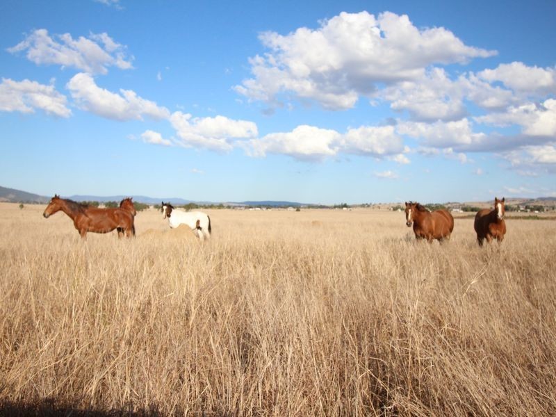 Lot 35 Cressbrook Downs, Toogoolawah QLD 4313