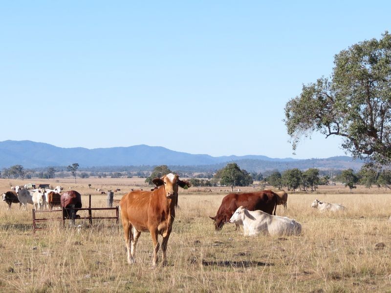 Lot 35 Cressbrook Downs, Toogoolawah QLD 4313