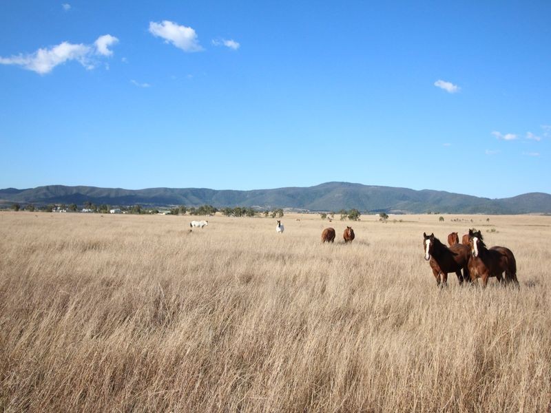 Lot 35 Cressbrook Downs, Toogoolawah QLD 4313