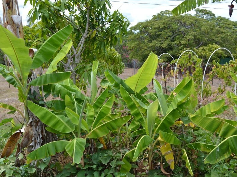 Toogoolawah QLD 4313