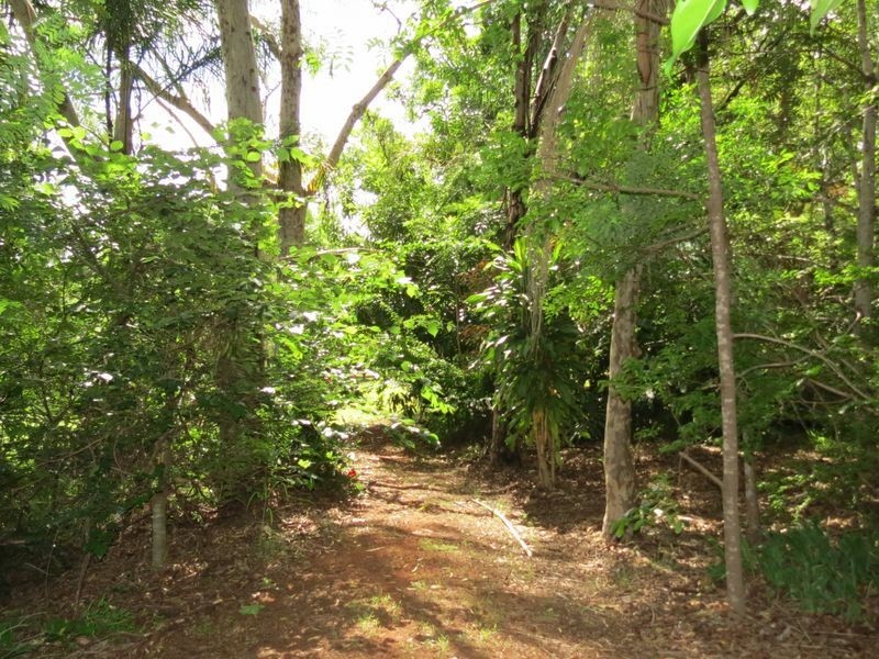 251 Esk Hampton, Esk QLD 4312