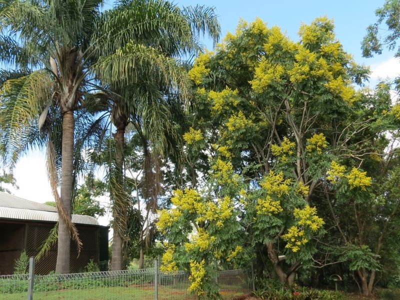251 Esk Hampton, Esk QLD 4312