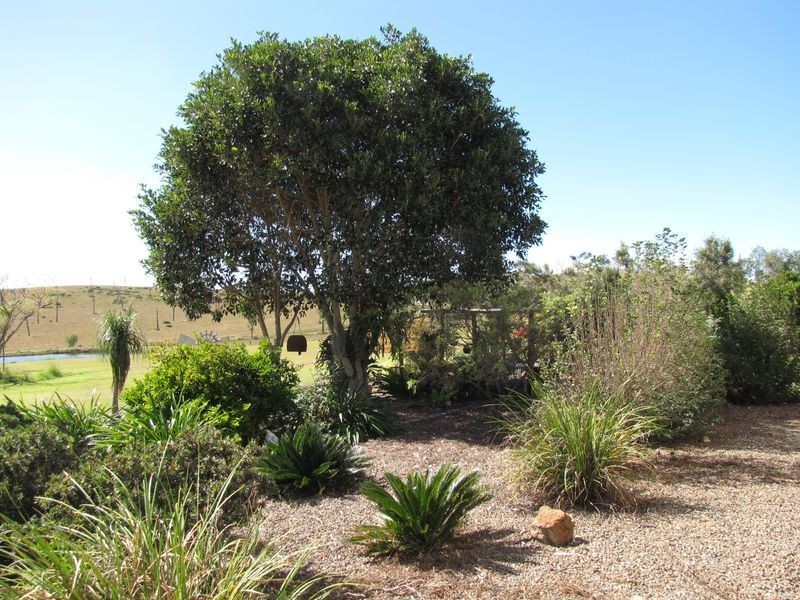 257 Glenhowden Road, Harlin QLD 4306