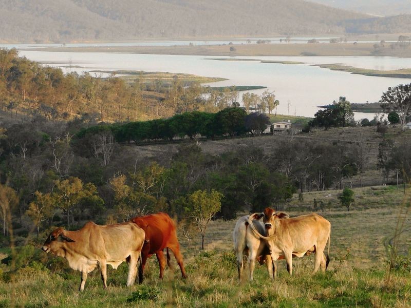 Lot 174 Nofz Lane, Coal Creek QLD 4312