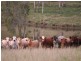 Lot 174 Nofz Lane, Coal Creek QLD 4312