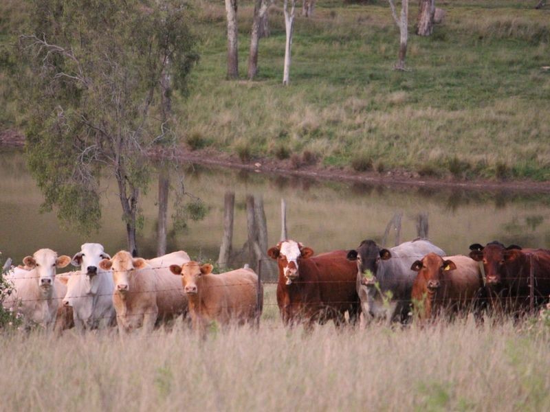 Lot 174 Nofz Lane, Coal Creek QLD 4312