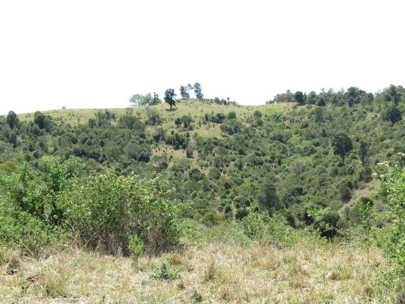 Lot 174 Nofz Lane, Coal Creek QLD 4312
