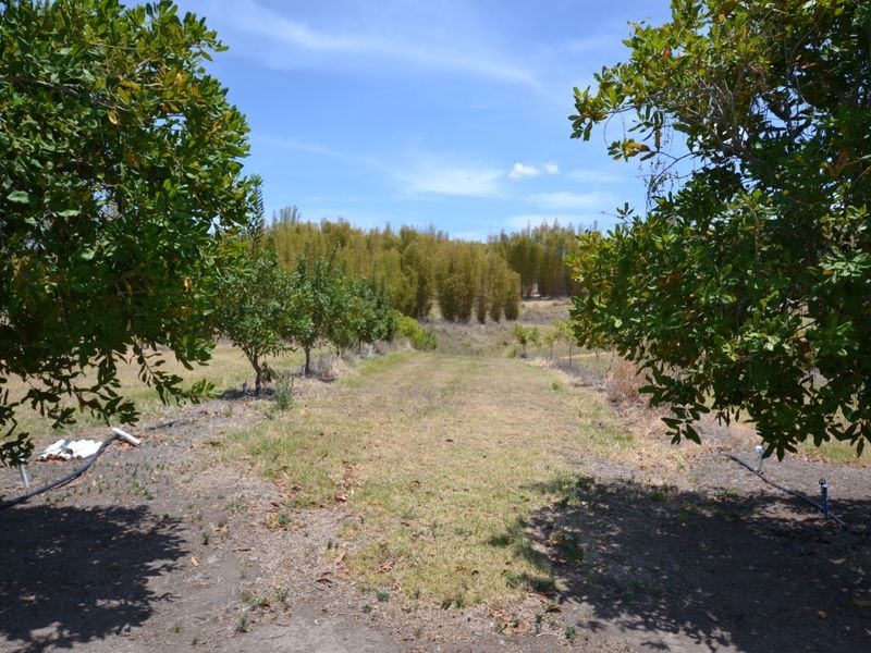 Taromeo QLD 4306