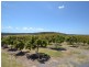 Taromeo QLD 4306