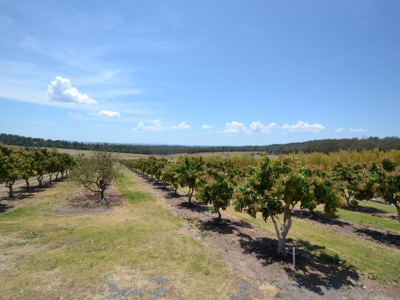 Taromeo QLD 4306