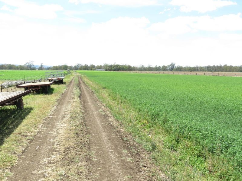 Atkinsons Dam QLD 4311