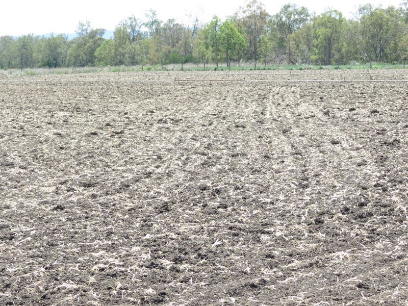 Atkinsons Dam QLD 4311