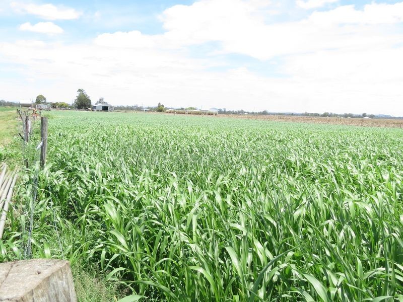 Atkinsons Dam QLD 4311