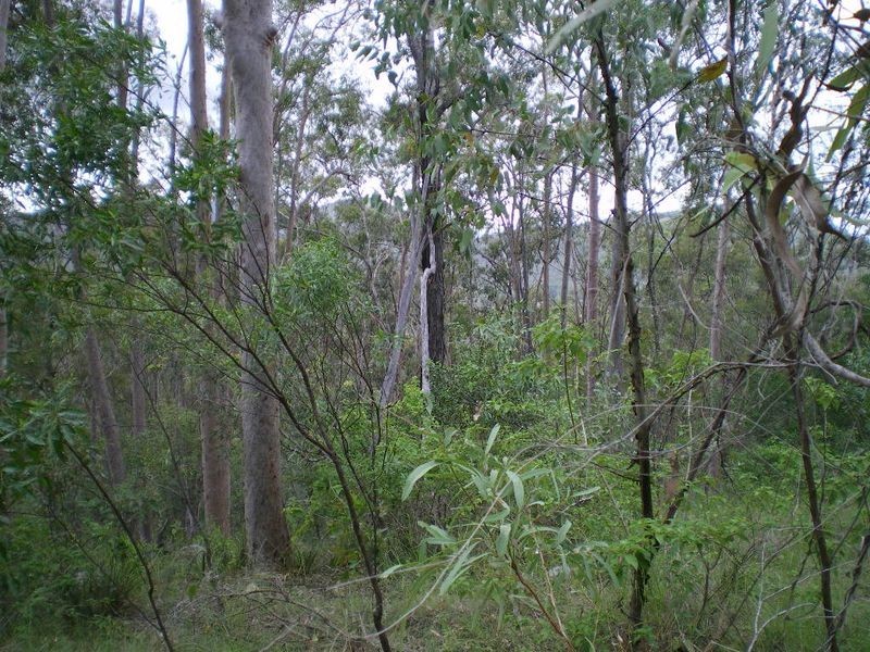 Burnside Court, Esk QLD 4312