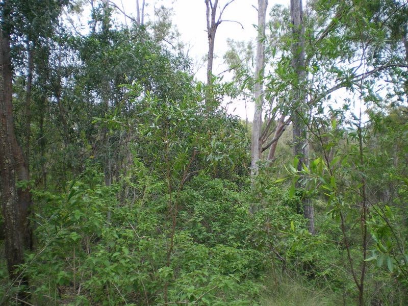Burnside Court, Esk QLD 4312