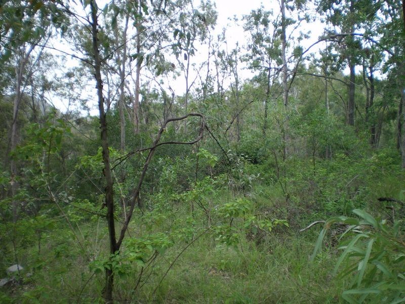 Burnside Court, Esk QLD 4312