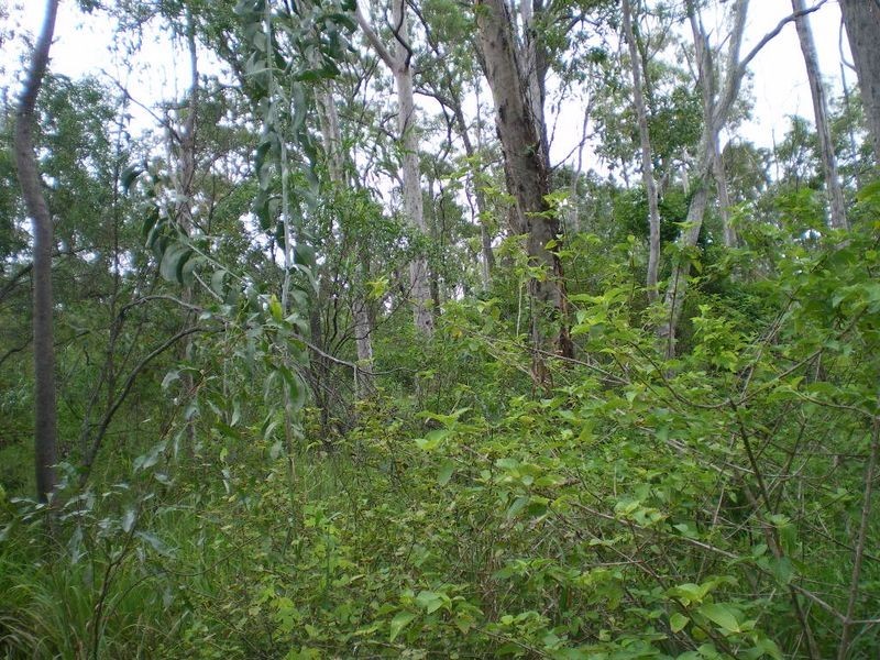 Burnside Court, Esk QLD 4312