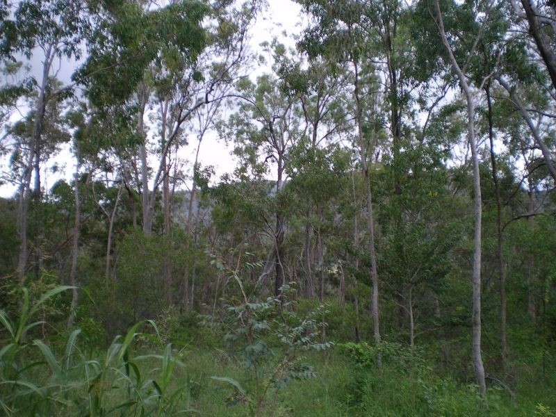 Burnside Court, Esk QLD 4312