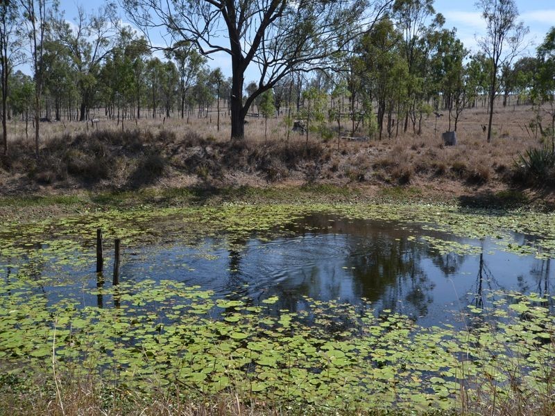 Biarra QLD 4313