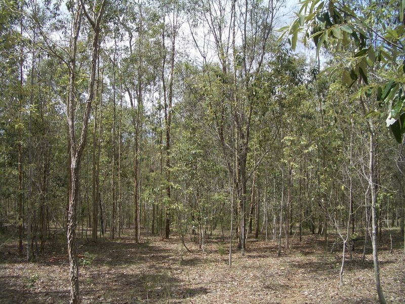 Mount Hallen QLD 4312